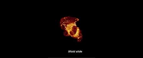 Enhance your fluorescent signal with X-Fold slides