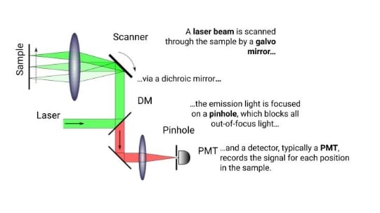 Standard laser scanning